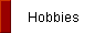 Hobbies